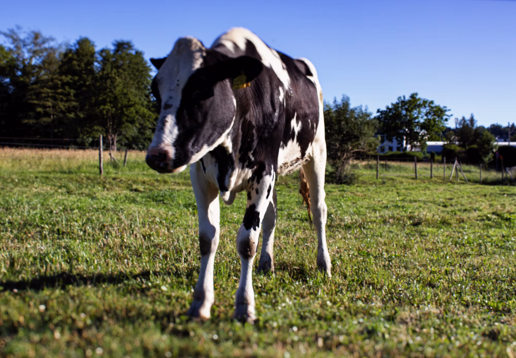 Exploring the Underrated Wonders: Unique Landmarks Around the World